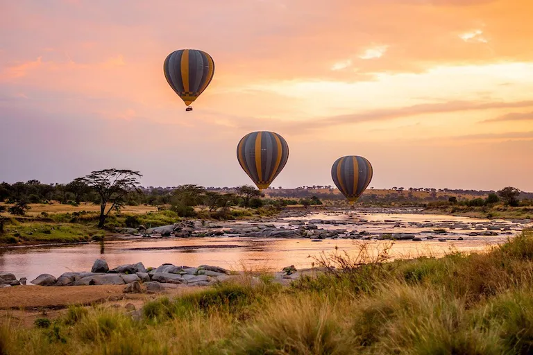 serengeti header